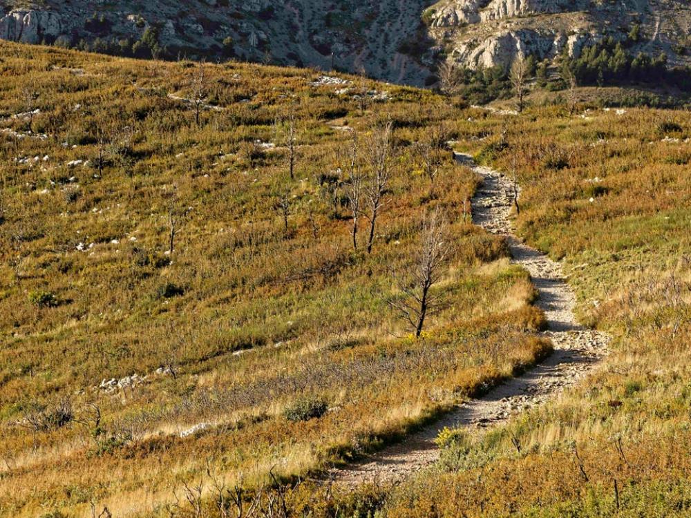 Sentier de randonnées