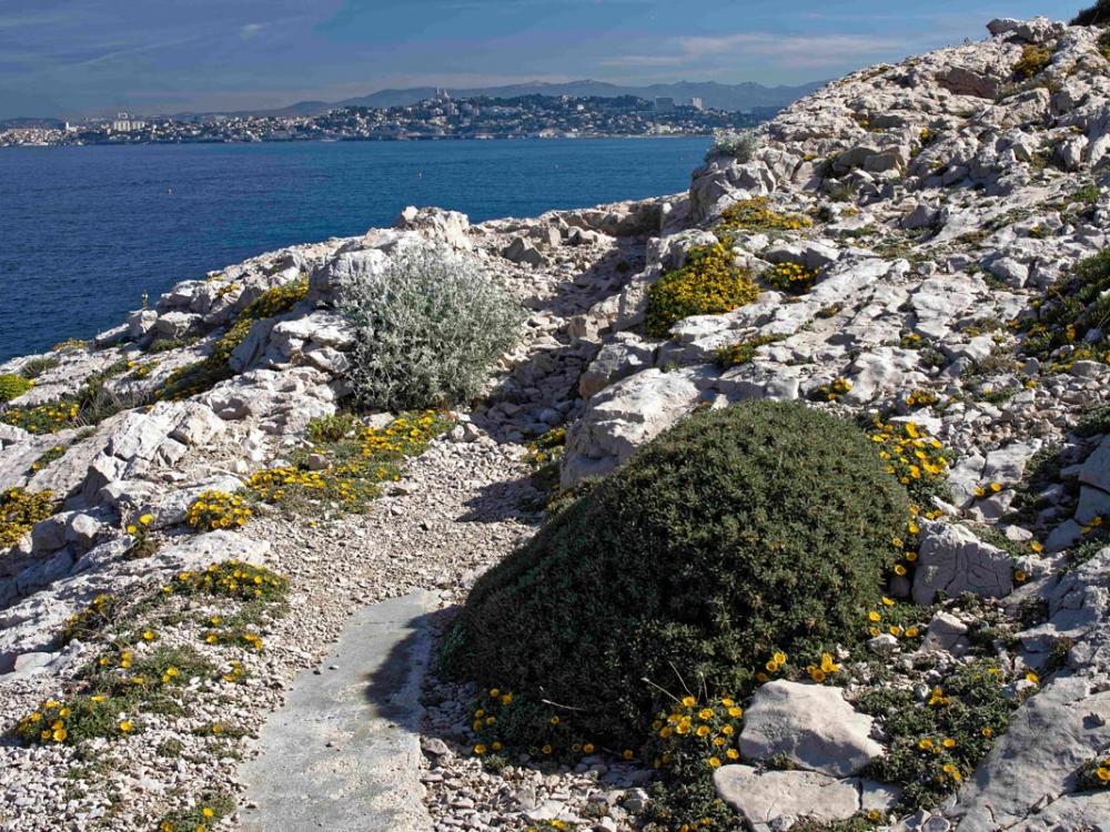 Sentier de randonnée en front de mer